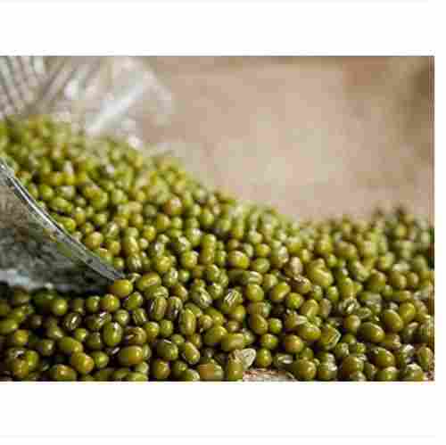 Pack Of 500 Grams High In Protein Organic Green Whole Moong Dal