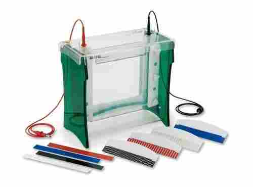 95-Volts 600-Watt Plastic Vertical Electrophoresis System Mini Gel