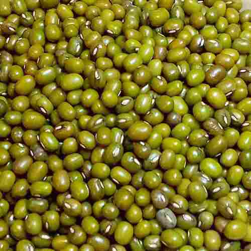 Raw And Natural Organic Pure Round Green Moong Dal With 12 Months Shelf Life