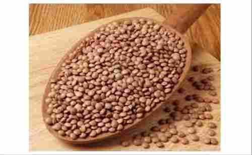 Raw And Natural Organic Pure Round Black Whole Masoor Dal With 12 Months Shelf Life