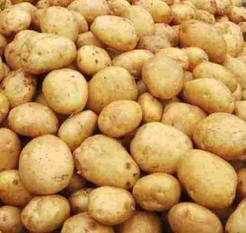 Mild Flavor Chemical Free Rich Natural Delicious Taste Brown Fresh Potato