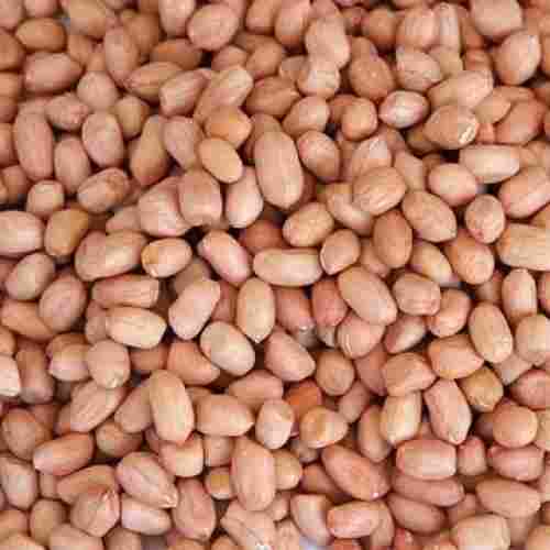 Healthy Protein Fiber And Healthy Fats Enriched Natural Groundnut Seeds