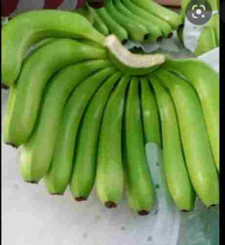 A Grade Cavendish Banana With Rich Taste And High Nutritious Values