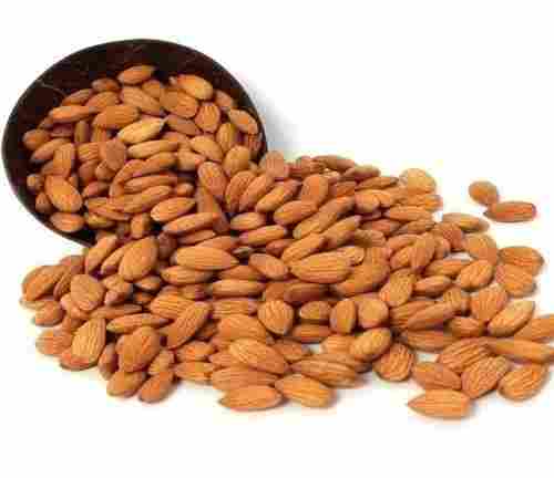Healthy And Nutritious Rich In Vitamins Rich In Taste Brown Almond Nut