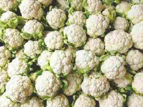 Crisp And Firm Texture Softer Delicious Natural Fresh White Cauliflower