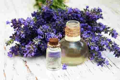 For Skin Care 100% Natural Antioxidants With Effective Pure Fresh Lavender Oil 