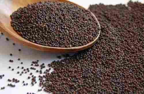 Long Life Good Quality Excellent Purity Small Size Red Mustard Seeds 1 Kg