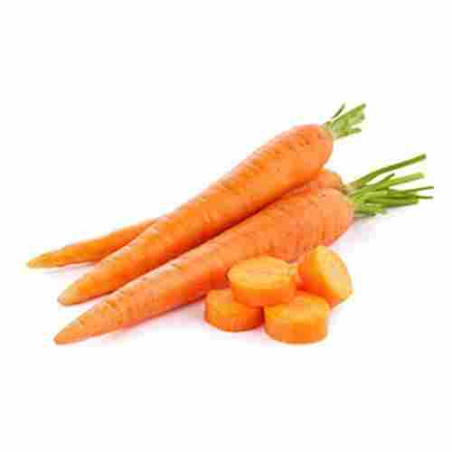 Rich In Vitamins Farm Fresh Carrot