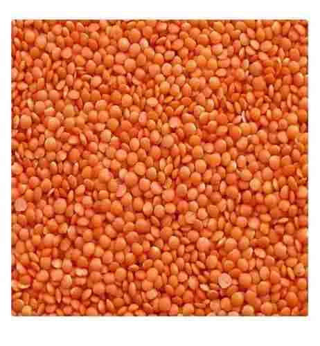 1 Kg 100% Organic Good Source Of Protein, Iron And Other Nutrients Fresh Red Masoor Dal For Cooking 