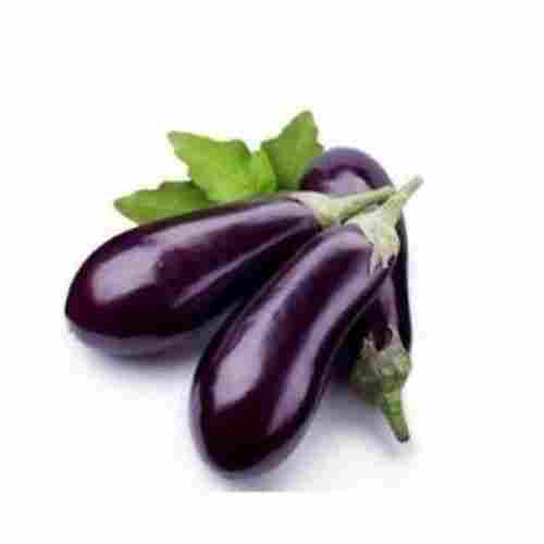 Indian Origin Naturally Grown And Healthy Vitamins Enriched Farm Fresh Brinjal