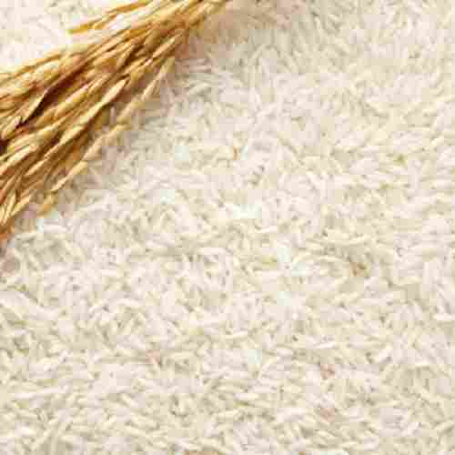Healthy Farm Fresh Indian Origin Common Cultivation Type 100% Pure Samba Rice