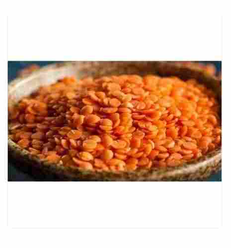 100% Organic And Fresh Masoor Dal With 12 Months Shelf Life