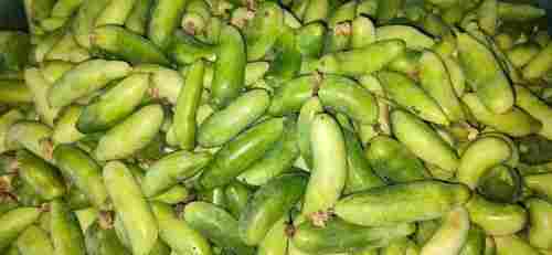  Good Source Of Minerals And Vitamins Pure Natural Fresh Kundru Vegetable