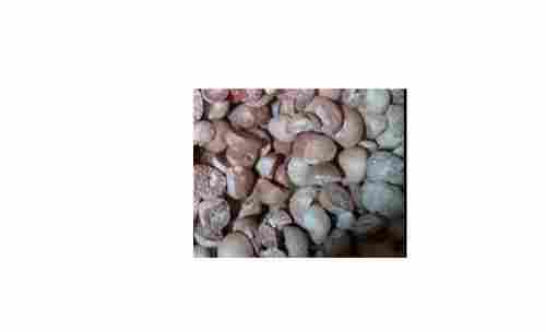 Natural And Organic Dried Broken Betel Nut With High Nutritious Value