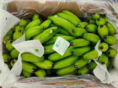 Full Of Fibre Rich In Potassium And Vitamin Healthy Natural Green Banana 