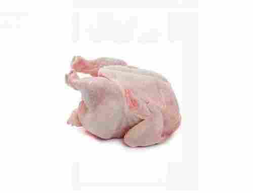 Nutrient Enriched 100% Pure Fresh Whole Halal Cut Chicken For Cooking