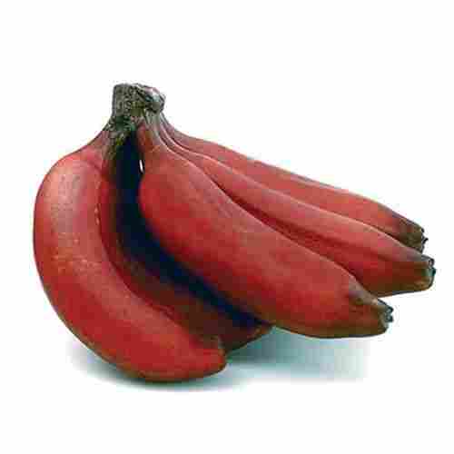 Healthy Farm Fresh Indian Origin Naturally Grown Vitamins Rich Fresh Red Banana