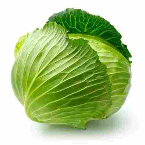 Great Source Of Dietary Fiber Vitamin C Manganese Copper And Natural Round Shape Cabbage