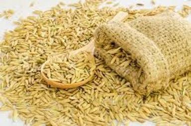 Agro Paddy Seeds Packaging: Bag