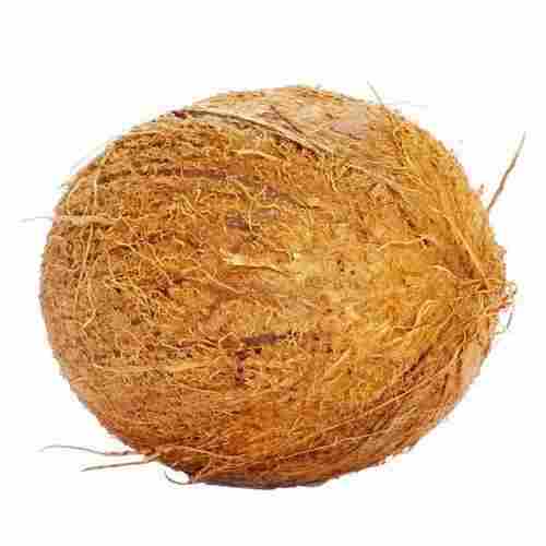 Round Shape Commonly Cultivated Brown Whole Husked Farm Fresh Coconut