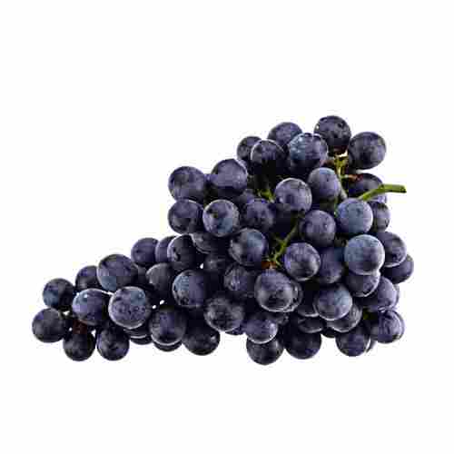 Round Shape Great Source Of Dietary Fiber Vitamin C Vitamin K Manganese Copper And Natural Fresh Black Grapes
