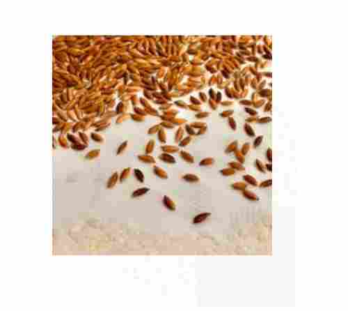 1 Kg 100% Organic And Natural Paddy Seeds For Agriculture Use With 10% Moisture