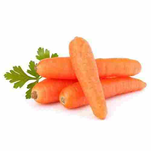 Healthy Vitamins Minerals Antioxidants Enriched Farm Fresh Naturally Orange Carrot 