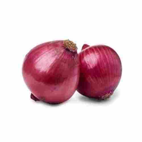 Indian Origin Farm Fresh Grown 100% Pure Natural And Healthy Brown Fresh Onion