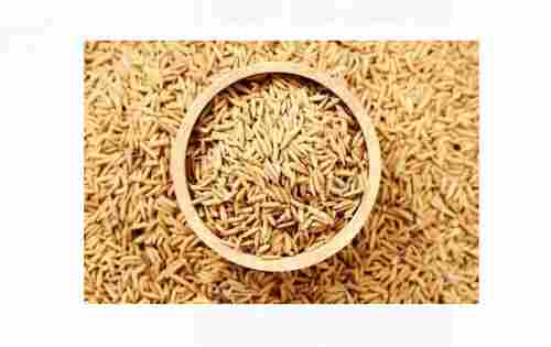 Agriculture Brown Paddy Rice Used For Cooking, Starch And Rice Flour