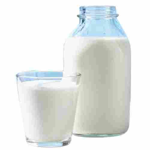 White Rich In Calcium Nutritious Good In Taste Proteins Natural Hygienically Packed Cow Milk
