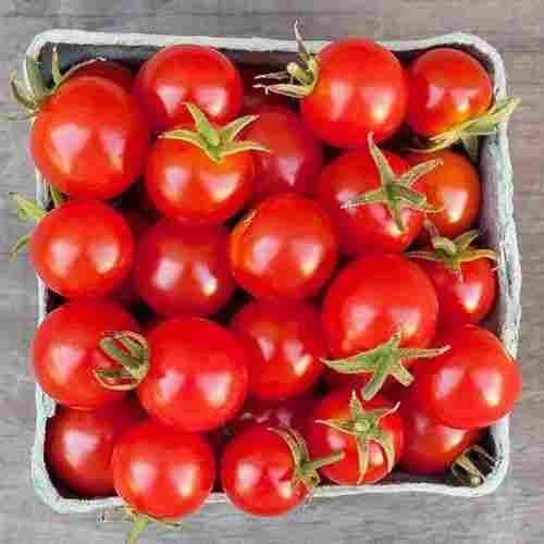 Good Source Of Vitamin C And Potassium Red Fresh Cherry Tomato 5 Kg Carton