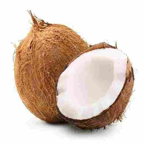 Pure And Natural Healthy Semi Husked Vitamins And Minerals Enriched Natural Brown Coconut
