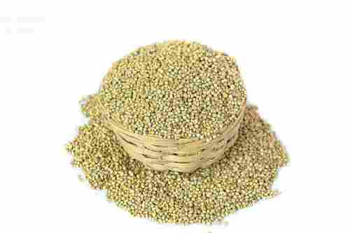 100% Organic And Natural Dried Bajra With High Nutritious Values