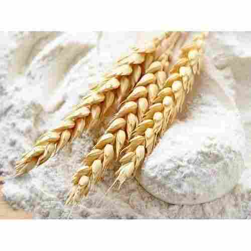 100% Pure Wheat Flour With High Nutritious Value And Fiber