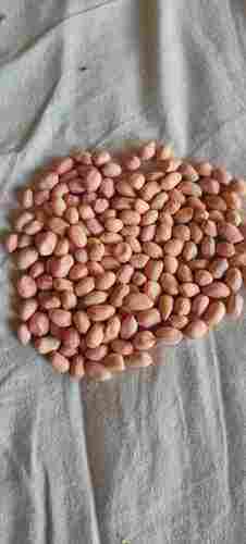Healthy Alternative High Protein Source Organic Groundnut Dried Peanut