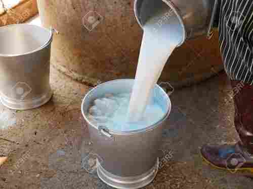 Nutritious And Healthy Good Source Of Vitamins Fresh Pure White Buffalo Milk