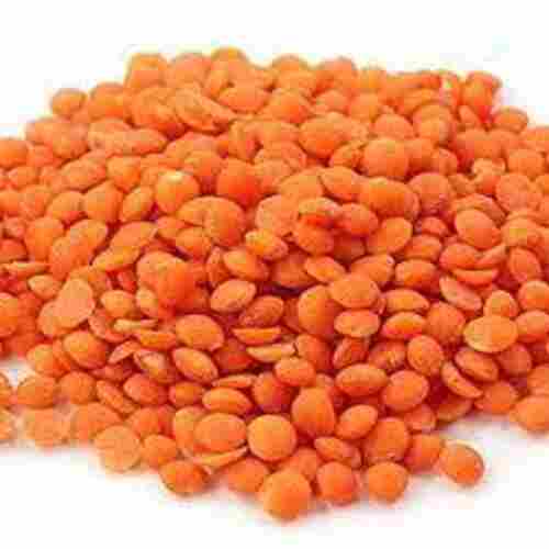 100 Percent Pure And Organic Masoor Dal, Rich In Dietary Fiber Proteins
