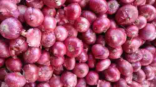 100% Organic Fresh And Pure Round Red Onion Of Energy Easy To Uses For Cooking