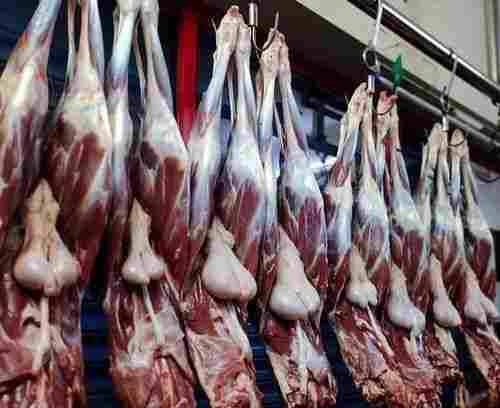 Hyderabad Fresh Sheep Goat Meat For Restaurant Rich In Source Of Protein