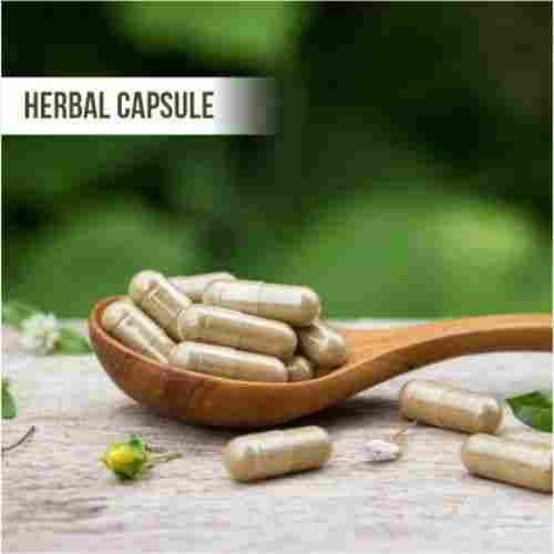 Various Health Beneficial Immune Booster Safe Herbal Capsules