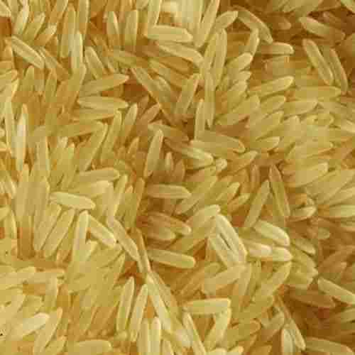Indian Origin Golden Natural Long Grain Carbohydrate Rich Nutritious Good In Taste Basmati Rice