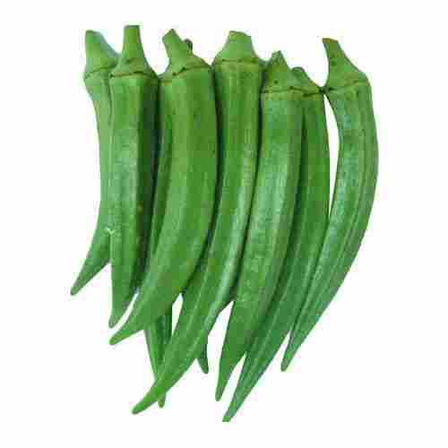 Indian Origin Naturally Fresh Green Lady Fingers Rich In Potassium Vitamin B Vitamin C