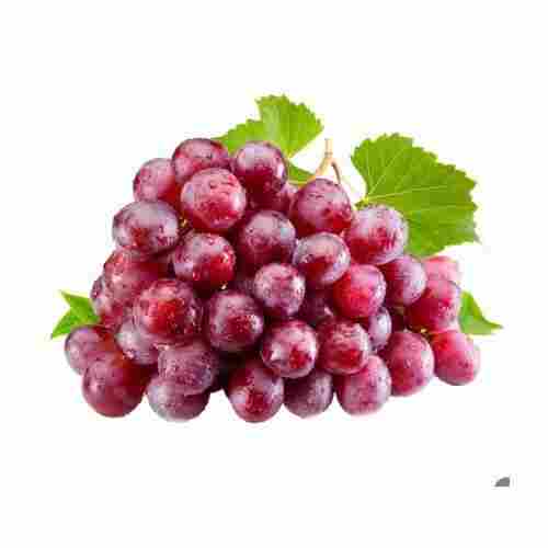 A Grade Health Pesticide Free Tasty Rich In Vitamins Naturally Grown Fresh Red Grapes