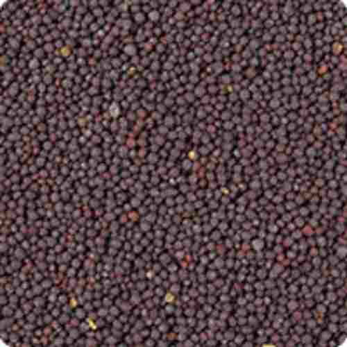 Black Fresh And Healthy Round Shaped Mustard Seeds No Added Preservatives For Cooking 