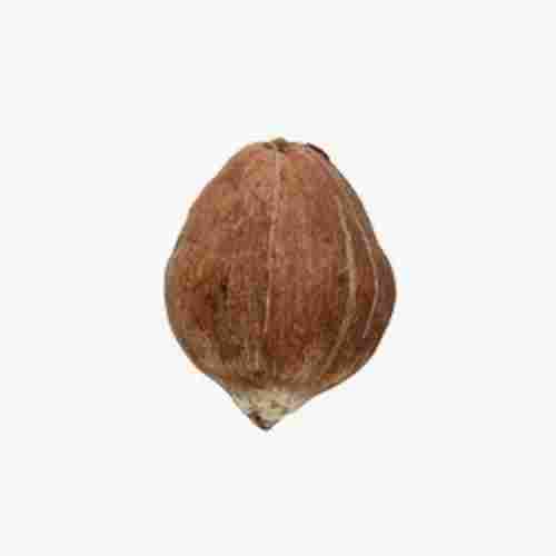 Ssgj Natural Laghu Fresh Coconut Small Size For Religious Pooja