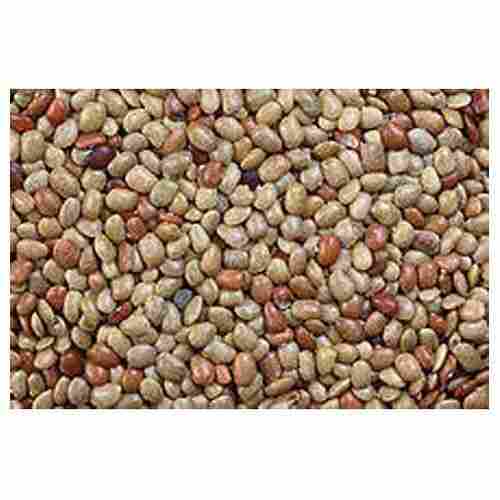 100% Pure Healthy Grade Brown Gram Seeds
