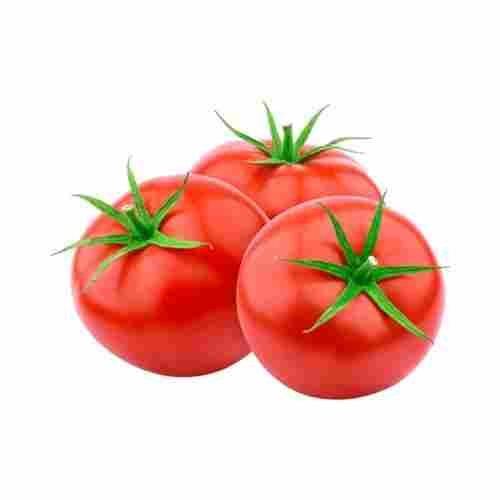 Naturally Grown Indian Origin Raw Round Shape Farm Fresh Tomato