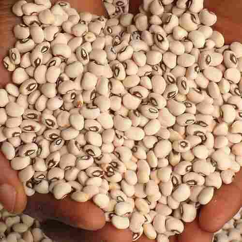 5A Grade 5.5mm+ Size Red Beans (Black Eyed Bean)