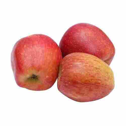 Best Rich Quality And Healthy Fresh Apples 