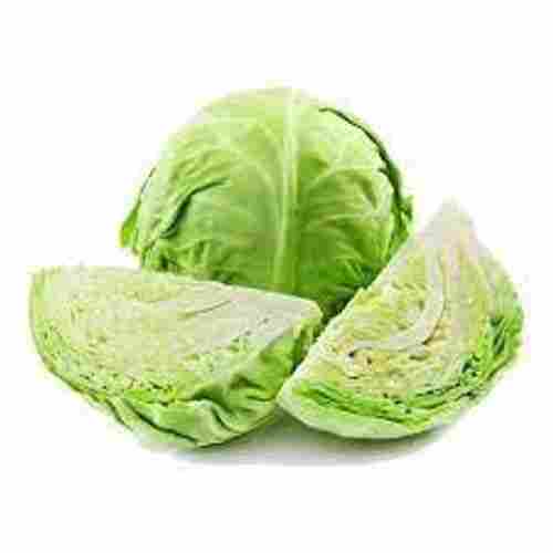 Organically Grown Healthy Testy Fresh Cabbage